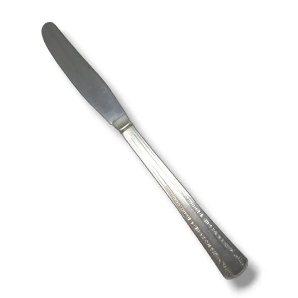 International Silver-Rogers DeLuxe Gracious Modern Hollow Grille Knife-8 1/2